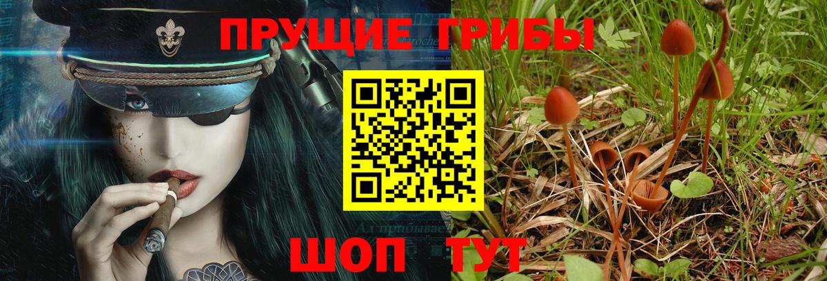 Галлюциногенные грибы прущие грибы  Галлюциногенные грибы GOLDEN TEACHER  Дивногорск  Вход с VPN 