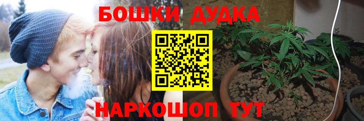 Бошки Шишки тримм  Бошки Шишки VHQ  Марихуана семена  Дивногорск  Вход с VPN 